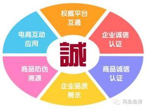 商品追溯 信息系統(tǒng)集成服務(wù)為企業(yè)帶來的挑戰(zhàn)與機遇